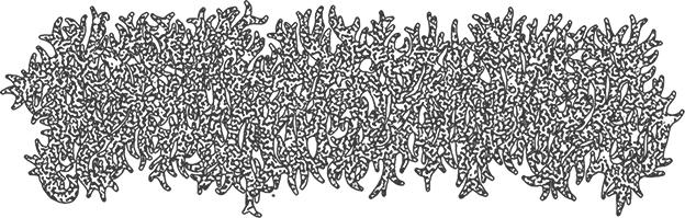 Immortal Torment Logo